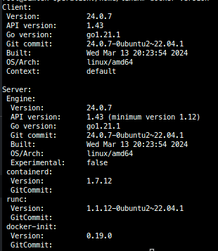 docker version